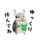 気遣いな動物さんたち＊水彩（個別スタンプ：3）