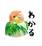 気遣いな動物さんたち＊水彩（個別スタンプ：12）