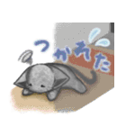 くろにゃんズ1（個別スタンプ：16）