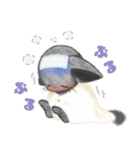 くろにゃんズ1（個別スタンプ：18）