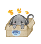 くろにゃんズ1（個別スタンプ：37）