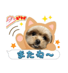❤️まいにちビビちゃん（個別スタンプ：8）