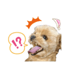 ❤️まいにちビビちゃん（個別スタンプ：10）