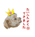 ❤️まいにちビビちゃん（個別スタンプ：11）