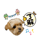 ❤️まいにちビビちゃん（個別スタンプ：13）