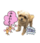 ❤️まいにちビビちゃん（個別スタンプ：16）