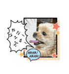 ❤️まいにちビビちゃん（個別スタンプ：18）