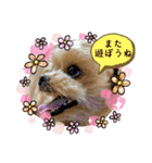❤️まいにちビビちゃん（個別スタンプ：21）