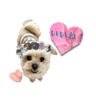 ❤️まいにちビビちゃん（個別スタンプ：24）