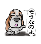 バセットハウンド(犬) 53（個別スタンプ：2）