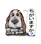 バセットハウンド(犬) 53（個別スタンプ：11）