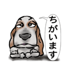 バセットハウンド(犬) 53（個別スタンプ：12）