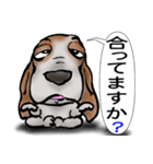 バセットハウンド(犬) 53（個別スタンプ：13）