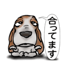 バセットハウンド(犬) 53（個別スタンプ：14）