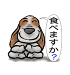 バセットハウンド(犬) 53（個別スタンプ：19）