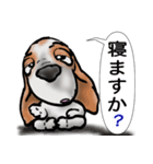 バセットハウンド(犬) 53（個別スタンプ：25）