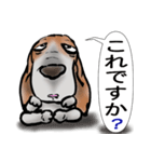 バセットハウンド(犬) 53（個別スタンプ：31）