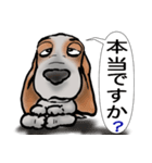 バセットハウンド(犬) 53（個別スタンプ：35）