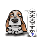 バセットハウンド(犬) 53（個別スタンプ：39）