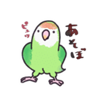 毎日使えるコザクラインコ奔放編（個別スタンプ：6）