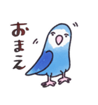 毎日使えるコザクラインコ奔放編（個別スタンプ：10）