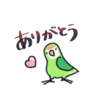 毎日使えるコザクラインコ奔放編（個別スタンプ：21）