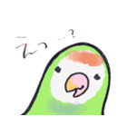 毎日使えるコザクラインコ奔放編（個別スタンプ：23）