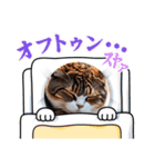 にゃんこの日常的（個別スタンプ：16）