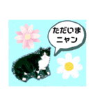 猫ちゃんたちのあいさつ（個別スタンプ：14）