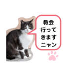 猫ちゃんたちのあいさつ（個別スタンプ：30）