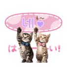 韓国語♡気持ちを伝えるねこ（個別スタンプ：2）