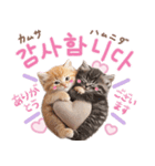 韓国語♡気持ちを伝えるねこ（個別スタンプ：5）