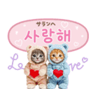 韓国語♡気持ちを伝えるねこ（個別スタンプ：7）
