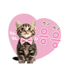 韓国語♡気持ちを伝えるねこ（個別スタンプ：9）