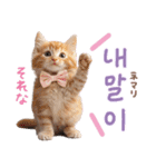 韓国語♡気持ちを伝えるねこ（個別スタンプ：10）