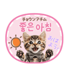 韓国語♡気持ちを伝えるねこ（個別スタンプ：13）