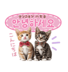 韓国語♡気持ちを伝えるねこ（個別スタンプ：14）