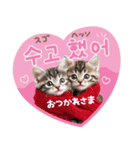 韓国語♡気持ちを伝えるねこ（個別スタンプ：15）