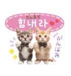 韓国語♡気持ちを伝えるねこ（個別スタンプ：17）
