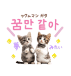 韓国語♡気持ちを伝えるねこ（個別スタンプ：19）