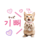 韓国語♡気持ちを伝えるねこ（個別スタンプ：20）