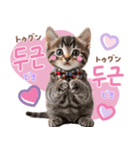 韓国語♡気持ちを伝えるねこ（個別スタンプ：21）