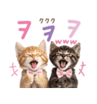 韓国語♡気持ちを伝えるねこ（個別スタンプ：24）