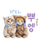 韓国語♡気持ちを伝えるねこ（個別スタンプ：25）