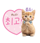 韓国語♡気持ちを伝えるねこ（個別スタンプ：28）