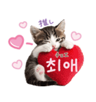 韓国語♡気持ちを伝えるねこ（個別スタンプ：29）