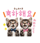 韓国語♡気持ちを伝えるねこ（個別スタンプ：30）