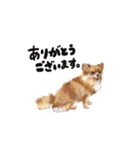 ちわっす、ちわわっす(黒文字ver)（個別スタンプ：4）