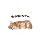 ちわっす、ちわわっす(黒文字ver)（個別スタンプ：7）
