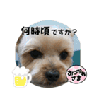 やっぱり大ちゃん（個別スタンプ：12）